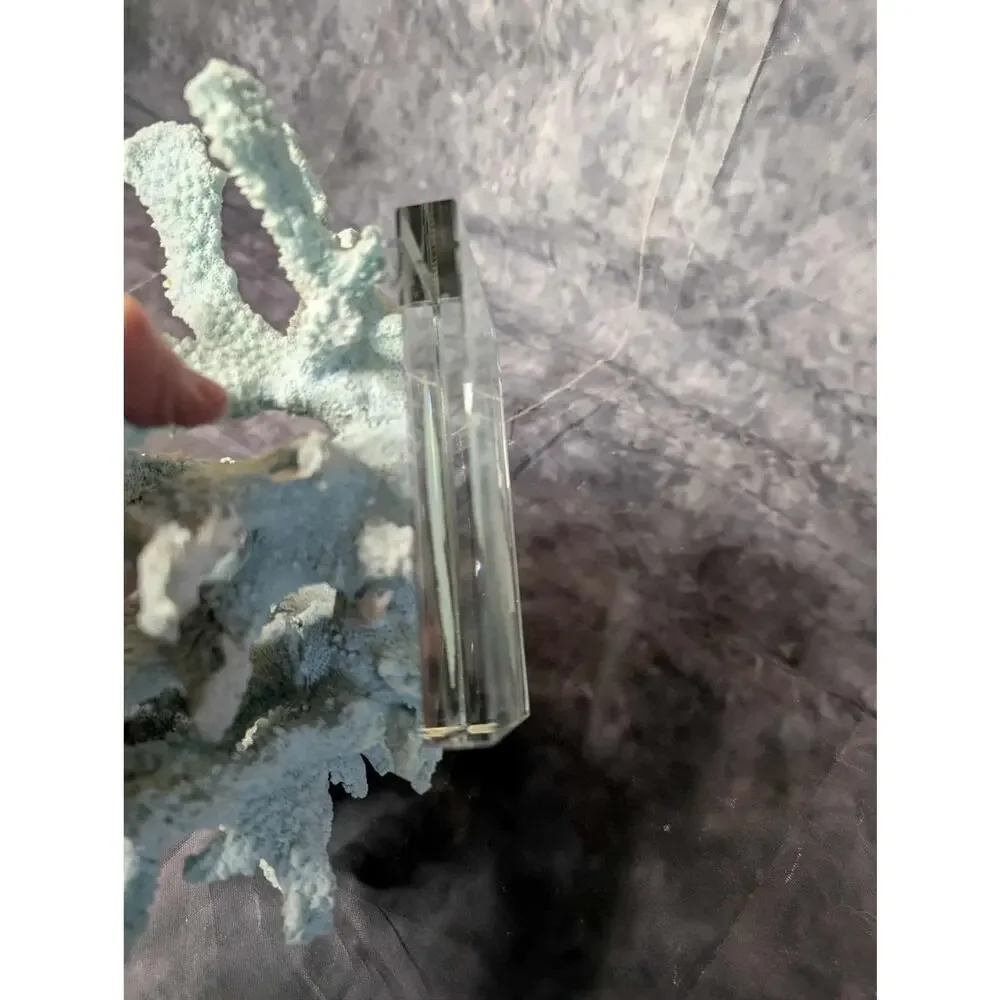 Nautical Coral Resin Art Statue Figurine Glass Bass Teal Large Staghorn Decor